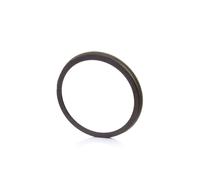 Frenado > Captores y cables de frenado > Anillo sensor, ABS