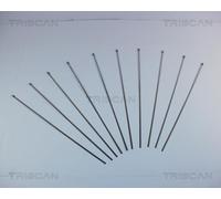 Triscan A/S Banda tensora (Ref: 8541 36)
