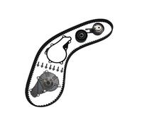 Triscan A/S Bomba de agua + kit correa distribución para FORD: S-Max, Mondeo, Focus, Kuga & VOLVO: V50, XC 70, V70, V40, S70, S60 (Ref: 8647 100516)