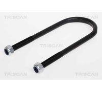 Triscan A/S Brida de ballesta para HYUNDAI: H1 & FIAT: Ducato & PEUGEOT: J5 & CITROËN: C25 (Ref: 8765 280003)
