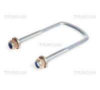 Triscan A/S Brida de ballesta para OPEL: Movano & RENAULT: Master & NISSAN: Interstar, NV400 (Ref: 8765 250001)