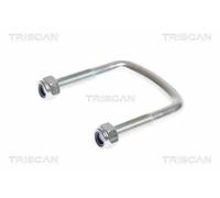 Triscan A/S Brida de ballesta para OPEL: Movano & RENAULT: Master & NISSAN: NV400, Interstar (Ref: 8765 100014)
