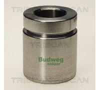 Triscan A/S Émbolo, pinza del freno para BMW: Série 7, Série 5, M3, Série 8, Z3, M5 (Ref: 8170 234020)