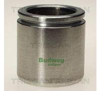 Triscan A/S Émbolo, pinza del freno para DAEWOO: Lanos, Nexia & PEUGEOT: 106, 205, 306 & OPEL: Corsa, Combo, Vectra, Astra, Tigra (Ref: 8170 234846)