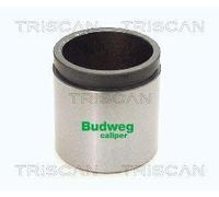 Triscan A/S Émbolo, pinza del freno para FIAT: 500, Ducato, Panda & PEUGEOT: Boxer, 206, 206+ & CITROËN: Jumper, Relay (Ref: 8170 234855)