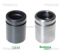 Triscan A/S Émbolo, pinza del freno para MERCEDES-BENZ: Classe ML, Classe R & FORD: Maverick & MAZDA: Tribute (Ref: 8170 234038)