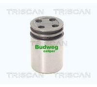 Triscan A/S Ãmbolo, pinza del freno para MINI: MINI & TOYOTA: Yaris (Ref: 8170 233422)