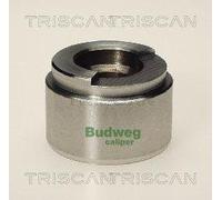 Triscan A/S Émbolo, pinza del freno para VAUXHALL: Astra & BMW: 2800, 2500, 3000, Série 6 & MERCEDES-BENZ: COUPE, PAGODE (Ref: 8170 234201)