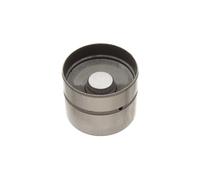 Triscan A/S Empujador de válvula para BMW: Série 7, Série 3, X3, X5, Z3, Série 5, Z4, Série 8 & MG: MG TF, MG ZR, MG F, MG ZT, MG ZS (Ref: 80-11000)