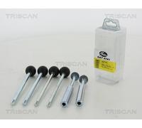 Triscan A/S Herramienta de montaje, correa distribución (Ref: gat4741)