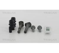 Triscan A/S Pasador guía, pinza del freno para FIAT: Punto, 500, Panda, Doblo, Linea, Stilo, Idea, Qubo, Fiorino, Bravo (Ref: 8170 169153)