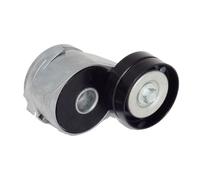 Triscan A/S Tensor de correa, correa poli V para VOLKSWAGEN: New Beetle, Golf, Bora, Transporter & AUDI: TT & FORD: Galaxy (Ref: 8641 293013)