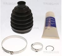 TRISCAN Juego De Faldones Para Renault Kangoo Express FW0/1 FW0/1 KW0/1