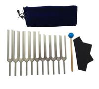 Trisoye Juego de Diapasones, 11 Diapasones para CuracióN, Terapia de Sonido, con PañO de Limpieza de Martillo de Silicona y Bolsa