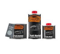 TRISTARcolor Pintura automotriz Set bote listo para pulverizar para BMW C7W Frozen Space Silver Metallic Pintura base + pintura transparente de 2 componentes 1,25L