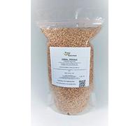 Triticale tratado para sembrar. 1 Kilo. Cereal híbrido entre trigo y centeno.