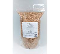 Triticale tratado para sembrar. 5 Kilos. Cereal híbrido entre trigo y centeno.