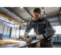 Trituradoras BOSCH 0 601 3A6 100