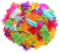 TRIXES 250 Plumas de Colores para Manualidades - Proveedores Vibrantes de DIY para Artes y Manualidades Infantiles - Decoraciones, Sombreros, Gorros, Globos y Más - Accesorio Esencial para Kit