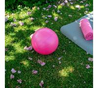 TRIXES Ejercicio de Pilates Rosa, Pelota de fortalecimiento, PVC, Entrenamiento de Yoga, Ayuda para Entrenamiento de Gimnasio, Pelota de Ejercicio, Accesorios de Gimnasio, Equipo de Ejercicio