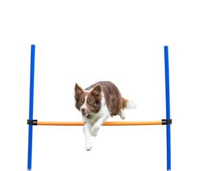 TRIXIE 3207 Vallas Agility, Regulable,129 x 115 cm, Azul y Naranja