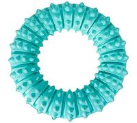 Trixie juguete perro anillo denta fun menta 9 cm