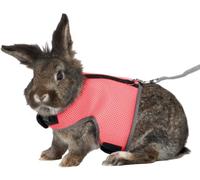 TRIXIE Arnés Suave con Correa para Pequeños Mamíferos 1 unidad [modelo surtido]