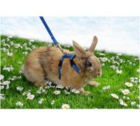 Trixie Arnés y correa Rabbit, colores surtidos, 6260