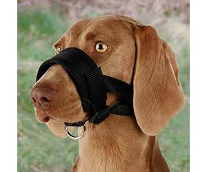 TRIXIE Bozal Lazo Nylon, Entrenamiento, L-XL Negro, Perro
