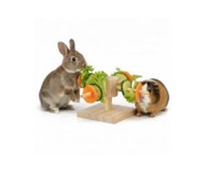 Trixie carrusel de alimentos roedor