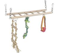 Ginásio para Gaiola de Hamsters