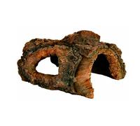 Cuerpo cavernoso - Mediciones: 15 cm