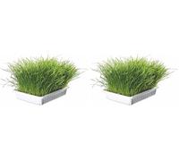 Trixie Hierba Gatos con Bandeja, 100 g (Paquete de 2)