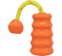 Trixie Juguete Motivacional para Perros de 22 cm