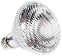 Heatspot Pro, Lámpara de Foco Halógeno para Calefacción - Potencia: 75W