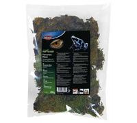 Trixie Musgo para Terrario 200g