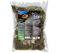 Trixie Musgo para Terrario 200g