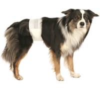 Trixie Pañales para Perro Adulto M-L 46-60cm 12pcs