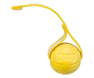 TRIXIE Pelota Sporting con Cuerda, Caucho TPR, ø6 cm, 20 cm, para Perros