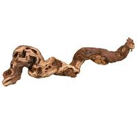 Trixie Vides, Vid de uva arena