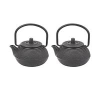 Trjgtas 2 tetera de hierro estilo japonés de 50 ml viene colador