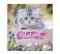 Trötsch Broschürenkalender Katzen 2026