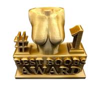 Trofeo novedoso para adultos, al mejor cofre y al mejor culo, decoración humorística de resina para adultos, decoración del hogar de escritorio, divertida para mujeres, perfecta para cumpleaños