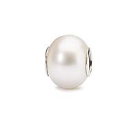 Trollbeads 51702 - Abalorio de Plata