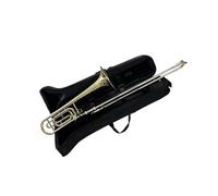 Trombón Alto En Si Bemol Trombón De Varas Con Afinación Dorada En Clave Bb F