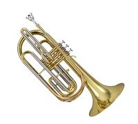 Trombón Plano En Si De Marcha Estándar, Cuerpo De Latón, Tubo De Tono De Cobre Blanco, Trombón Con Caja De Almacenamiento Trombón Para Principiantes (Color : Gold)