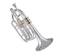 Trombón Plano En Si De Marcha Estándar, Cuerpo De Latón, Tubo De Tono De Cobre Blanco, Trombón Con Caja De Almacenamiento Trombón Para Principiantes (Color : Silver)