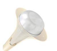 Trombón Practica Mute, Trombón Straight Stumms | Aleación de Aluminio Silencioso, Herramienta de Práctica Profesional, Accesorios de Instrumentos Musicales para el Hogar, Tono Bajo