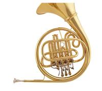 Trompa Dorada El Diseño De Doble Del Instrumento De Trompa En Clave Si/fa Es Adecuado Para Que Los Principiantes Practiquen(Single Row)