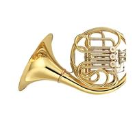 Trompa Dorada La Trompa Es Adecuada Para Principiantes Y Adultos Que Desean Practicar Instrumentos De Interpretación Profesional(4)